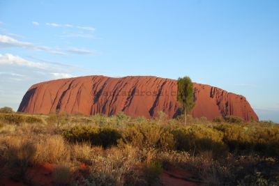 Uluru (Ayers Rock), Northern Territory, Australia
JPG 3872 x 2592  Pixels (10.04 MPixels) (1.49)
Keywords: mountain;desert;Uluru;Ayres Rock