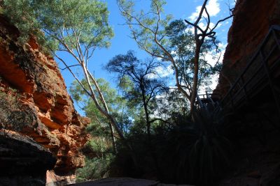 Kings Canyon, Northern Territory, Australia
JPG 3872 x 2592  Pixels (10.04 MPixels) (1.49)
Keywords: mountain;desert;Kings Canyon