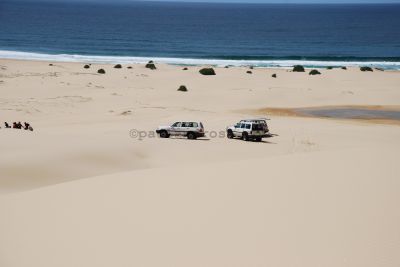 Stockton Beach sand dunes
JPG 3872 x 2592  Pixels (10.04 MPixels) (1.49)
Keywords: Port Stephens