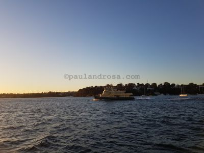 Inner Harbour ferry
JPG 4032 x 3024  Pixels (12.19 MPixels) (4:3)
Keywords: Parramatta River