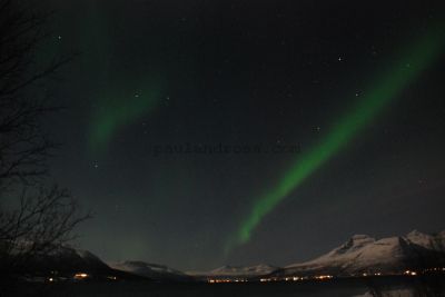 Aurora borealis
JPG 3872 x 2592  Pixels (10.04 MPixels) (1.49)
Keywords: Norway;Northern Lights