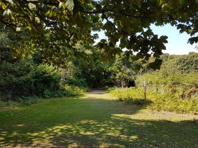 Walking path on Brownsea Island
JPG 4032 x 3024  Pixels (12.19 MPixels) (4:3)
Keywords: Bournemouth;Brownsea Island
